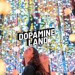 Dopamine Land – Uma Experiência Multissensorial